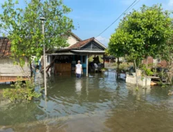 Alih Fungsi Lahan Jadi Sebab Banjir Rob di Kendal