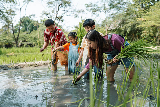 Parenting dalam Pernikahan: Kunci Harmoni Keluarga