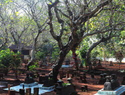 Beda Konsep Pemakaman di Jawa Tengah, Begini Tradisi Desa Trunyan