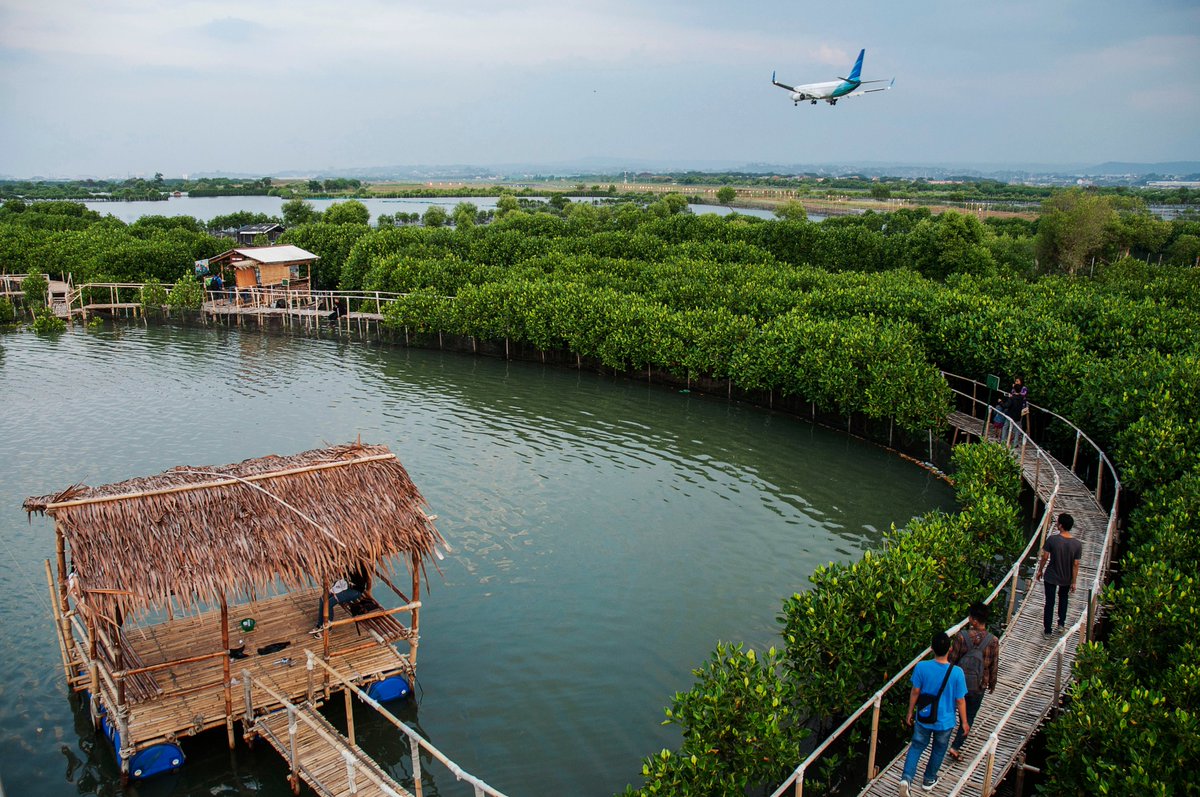 Maron Mangrove Edupark: Wajah Baru Ekowisata dan Edukasi Alam