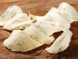 Mengulik Potensi Komoditas Walet Jawa Tengah