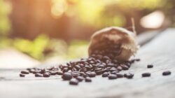 Kopi Premium Jawa Tengah: Kopi Pagergunung dari Wonosobo