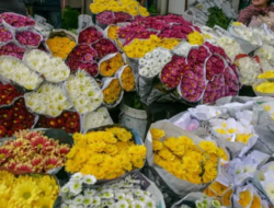 Pesona Pasar Bunga Bandungan: Surga Warna di Lereng Ungaran