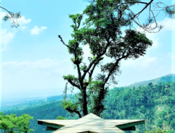 5 Wisata Pati Paling Hits dan Favorit Wisatawan