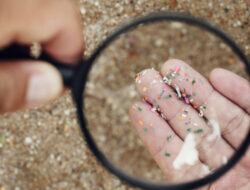 Mikroplastik Ancaman Baru Semarang: Kenapa Kamu Harus Tahu Sekarang?