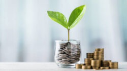 Jangan Remehkan! 7 Kebiasaan Sederhana Ini Bikin Kaya