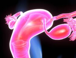 Rahim Copot Viral! Ketakutan, Fakta Medis, dan Praktik Persalinan Tradisional