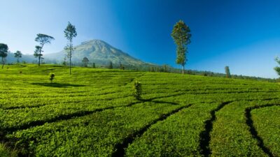 5 Destinasi Wisata Healing Jawa Tengah, Sejuk dan Damai