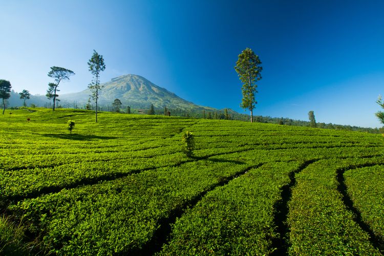 5 Destinasi Wisata Healing Jawa Tengah, Sejuk dan Damai
