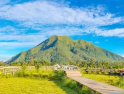 Wisata Alam Magelang: Quality Time di Hutan Desa