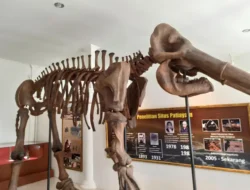 Wisata Sejarah: 3 Museum Purbakala di Jawa Tengah