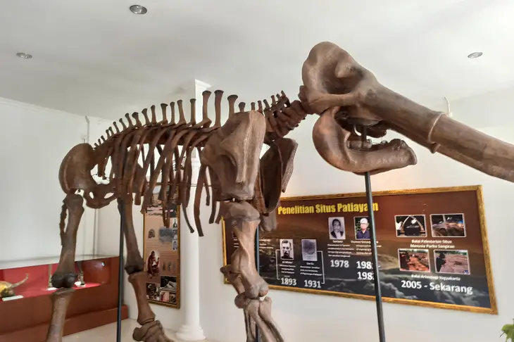 Wisata Sejarah: 3 Museum Purbakala di Jawa Tengah