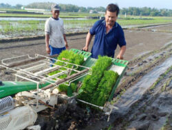 Nasihat Jawa “Bali Ndesa Mbangun Desa” Bagi Ilmuwan Asal Desa