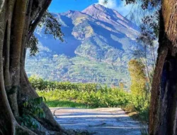 Rekomendasi Wisata Alam Boyolali untuk Healing