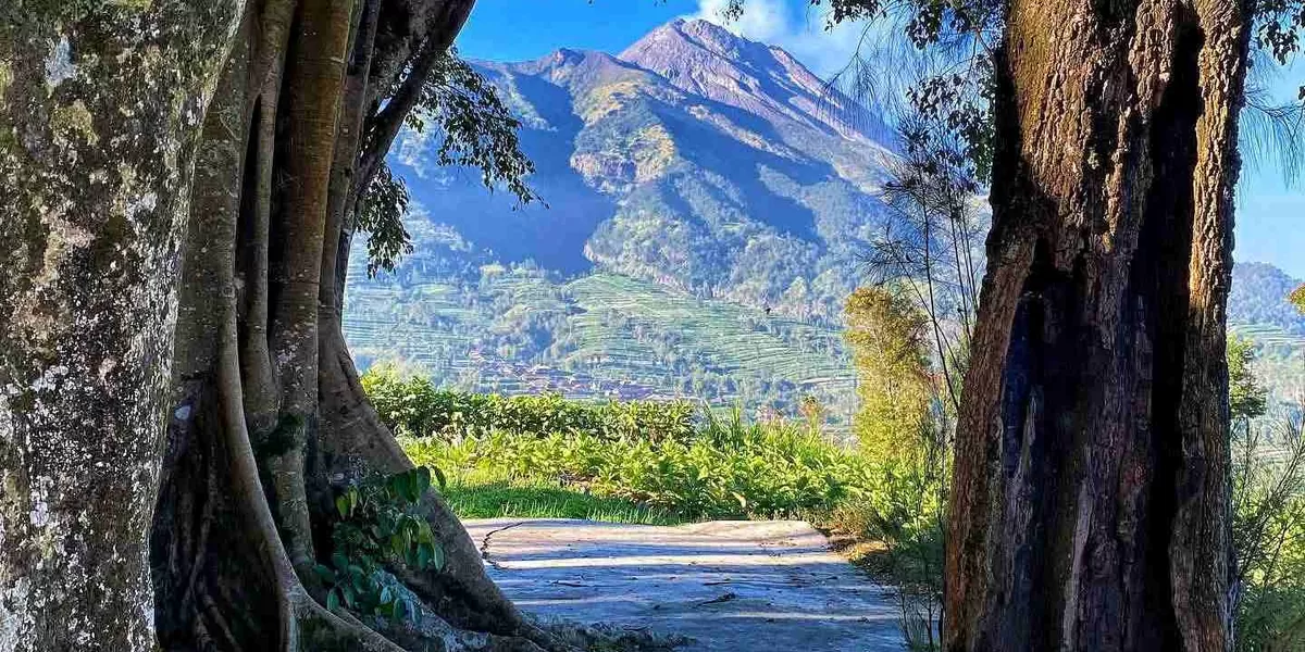 Rekomendasi Wisata Alam Boyolali untuk Healing
