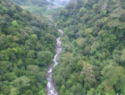 Ternyata Daerah Ini Punya Julukan Jurassic Park-nya Jawa Tengah!