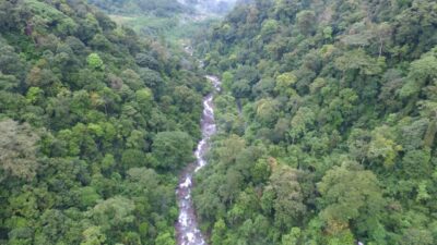 Ternyata Daerah Ini Punya Julukan Jurassic Park-nya Jawa Tengah!