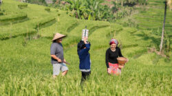 Nrimo ing Pandum: Rahasia Orang Jawa Hidup Tenang