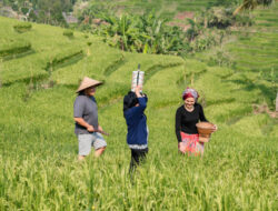 Nrimo ing Pandum: Rahasia Orang Jawa Hidup Tenang