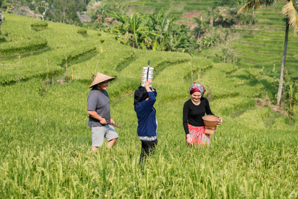 Nrimo ing Pandum: Rahasia Orang Jawa Hidup Tenang