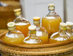 Awal Mula Tradisi Jamu pada Era Kerajaan Mataram Kuno