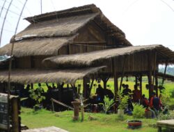 Dari Sumber Air Lereng Gunung Lawu, Desa Ini Jadi Desa Wisata Terbaik di Jateng