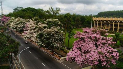 Di Balik Alasan Magelang Dijuluki Kota Sejuta Bunga
