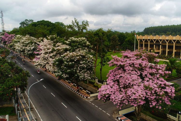 Di Balik Alasan Magelang Dijuluki Kota Sejuta Bunga