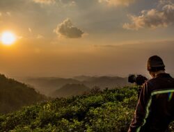 Wisata Alam Kebun Teh Kemuning, Cocok bagi Kaum Kesepian
