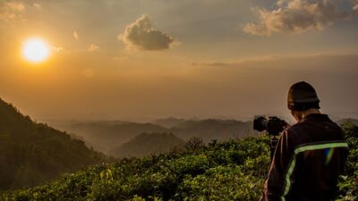 Wisata Alam Kebun Teh Kemuning, Cocok bagi Kaum Kesepian