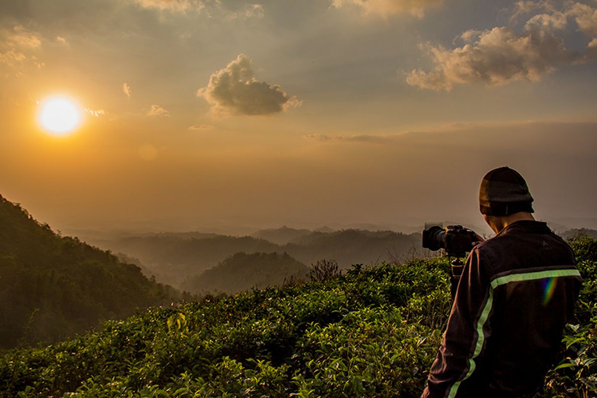 Wisata Alam Kebun Teh Kemuning, Cocok bagi Kaum Kesepian