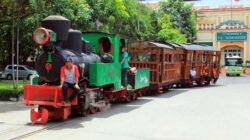Rekomendasi Tempat untuk Outing Class SD di Jawa Tengah