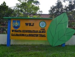 Wisata Kalibakung: Destinasi Edukasi Jamu Tradisional di Lereng Gunung Slamet