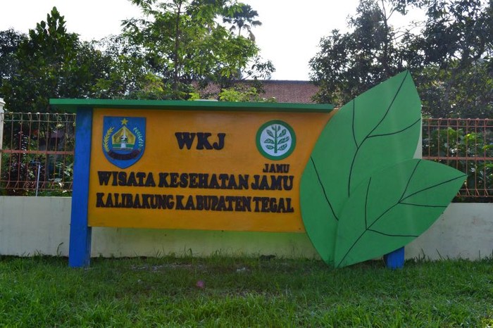 Wisata Kalibakung: Destinasi Edukasi Jamu Tradisional di Lereng Gunung Slamet