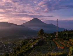 Menyibak Pesona Desa Wisata Dieng Kulon di Atas Awan