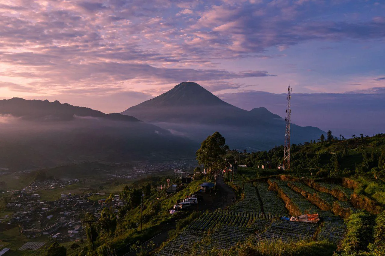 Menyibak Pesona Desa Wisata Dieng Kulon di Atas Awan