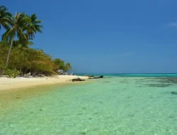 Surga Tropis Jawa Tengah: Pesona Karimunjawa yang Bikin Rindu