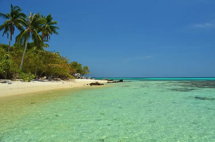 Surga Tropis Jawa Tengah: Pesona Karimunjawa yang Bikin Rindu