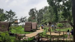 Pinusia Park: Hidden Gem Semarang Buat Family Time