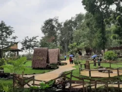 Pinusia Park: Hidden Gem Semarang Buat Family Time