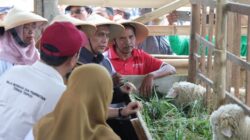 Setya Arinugroho Targetkan Duplikasi Smart Farming Revola ke Seluruh Jateng