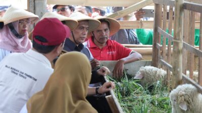 Setya Arinugroho Targetkan Duplikasi Smart Farming Revola ke Seluruh Jateng