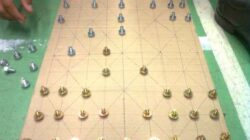 Dam-Daman, Board Game Catur Jawa Tempo Dulu