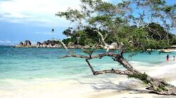 5 Pantai Hidden Gem di Pulau Nusakambangan
