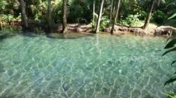 Mengenal Fenomena Sungai Kali Odo Semarang yang Unik