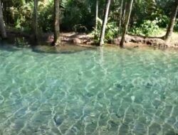 Mengenal Fenomena Sungai Kali Odo Semarang yang Unik