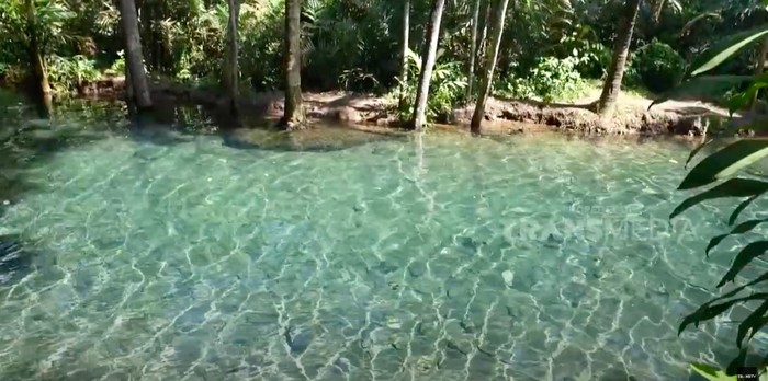 Mengenal Fenomena Sungai Kali Odo Semarang yang Unik