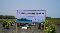 Pakar UNNES Jelaskan Alasan Ekologis di Balik Rehabilitasi Mangrove Pidodokulon