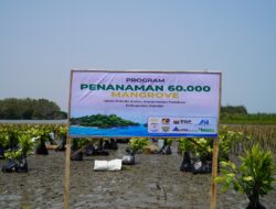 Pakar UNNES Jelaskan Alasan Ekologis di Balik Rehabilitasi Mangrove Pidodokulon