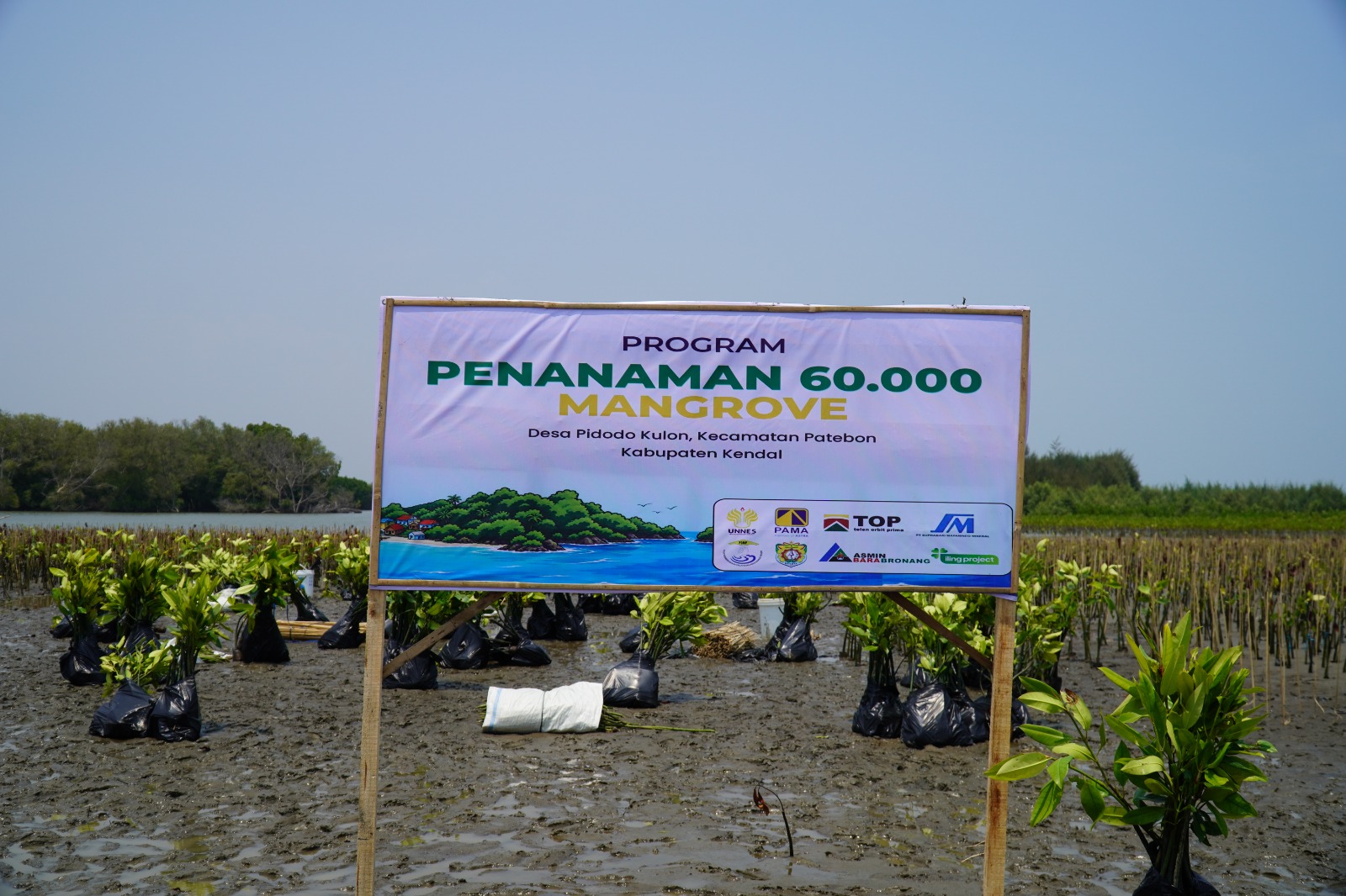 Pakar UNNES Jelaskan Alasan Ekologis di Balik Rehabilitasi Mangrove Pidodokulon